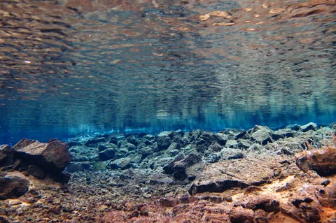 Scuba Diving Silfra — photograph 11