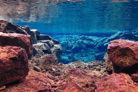 Scuba Diving Silfra — photograph 12