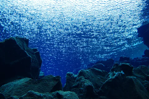 Scuba Diving Silfra — photograph 17