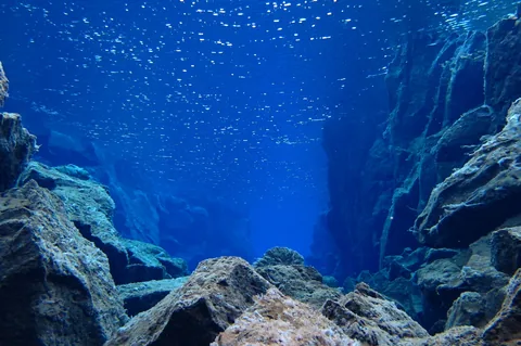 Scuba Diving Silfra — photograph 18