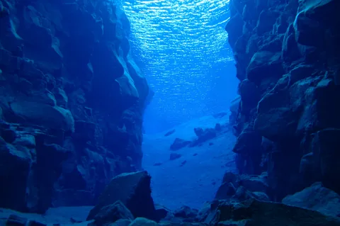 Scuba Diving Silfra — photograph 19