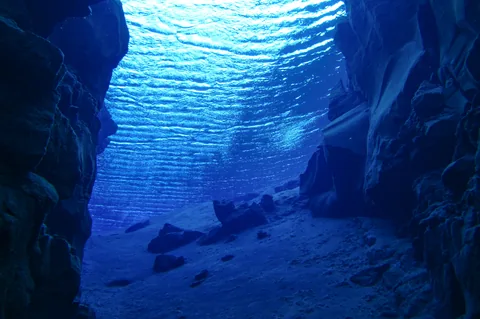 Loved swimming up this bank and admiring the surface view