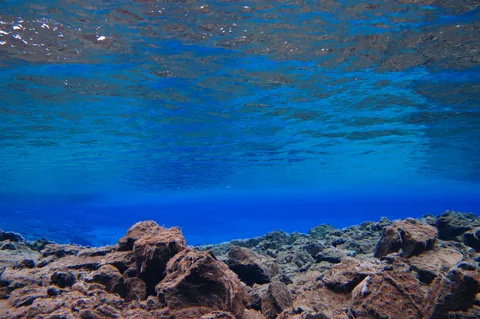 Scuba Diving Silfra — photograph 23