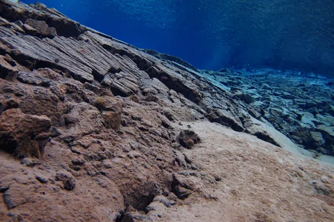 This pic really shows how clear the water was