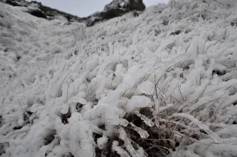 The mist that comes off the falls creates some interesting ice-work on the grassy banks