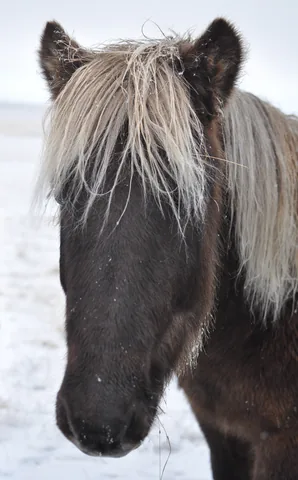 South Iceland Road Trip — photograph 18