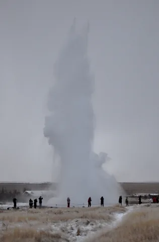 "Thar she blows!"