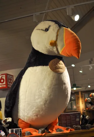 Not the puffin season, but we found a jumbo substitute