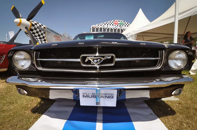 Goodwood Festival of Speed — photograph 8