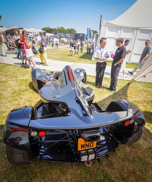 Goodwood Festival of Speed — photograph 11