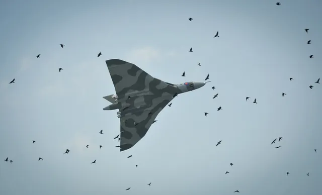 A majestic flyby in the Vulcan bomber. Many birds freaked out in the process.