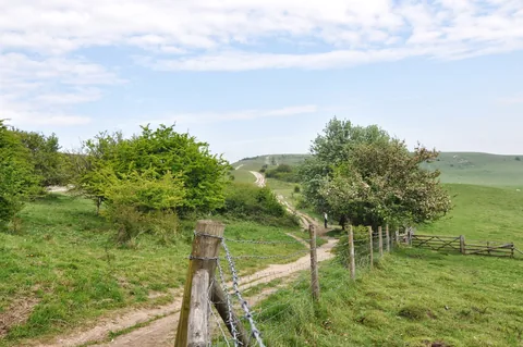 Looking ahead to the start line, Ivinghoe Beacon, after a taxi drop-off