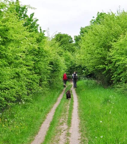The Ridgeway — photograph 106