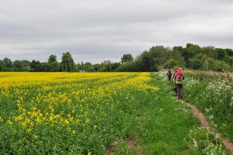 The Ridgeway — photograph 112