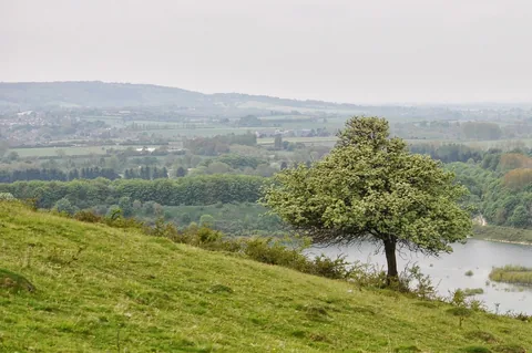 The Ridgeway — photograph 12