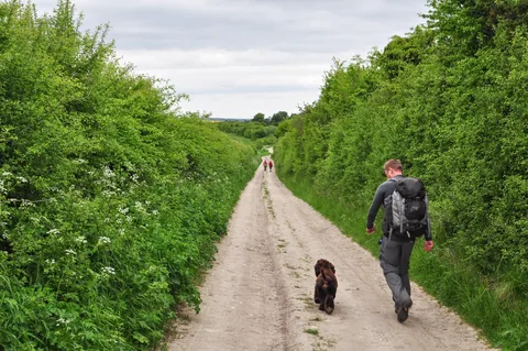 "Dogs ... a man's best friend". Well, I think Barney was growing on Neil by this stage