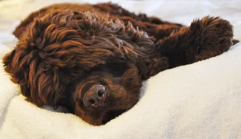 Such a cutie-pie!