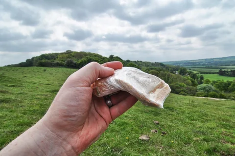 Damn it! I sat on my sandwich taking one of the panorama shots