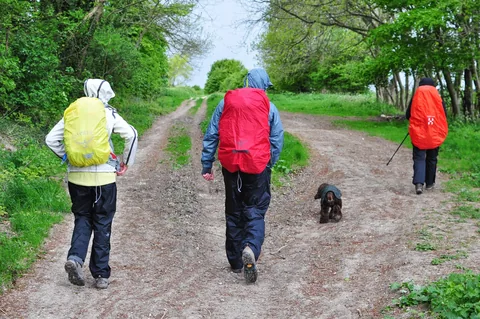 The Ridgeway — photograph 156