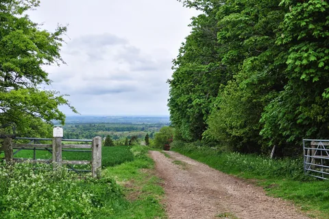 The Ridgeway — photograph 157