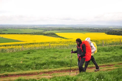 The Ridgeway — photograph 162