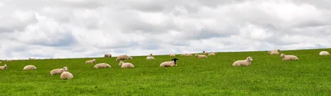 The Ridgeway — photograph 163