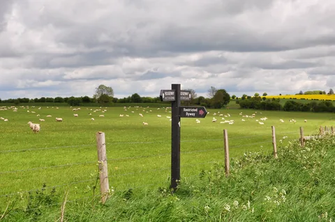 The Ridgeway — photograph 165