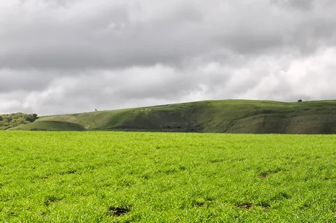 The view of Uffington White Horse as we set out back onto the trail from Woolstone