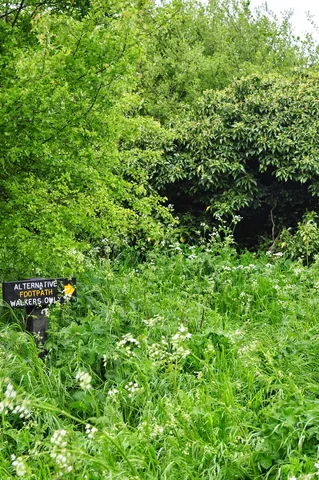 We saw a few of these 'walkers-only' alternative footpaths. In this case, I would suggest a sign alteration to 'Intrepid Adventurers Only'