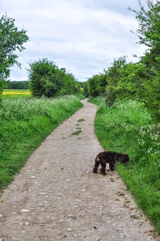 The Ridgeway — photograph 176