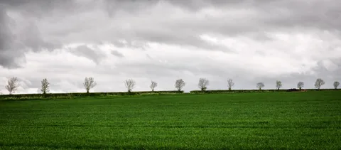 The Ridgeway — photograph 177