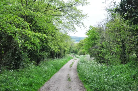 The Ridgeway — photograph 181