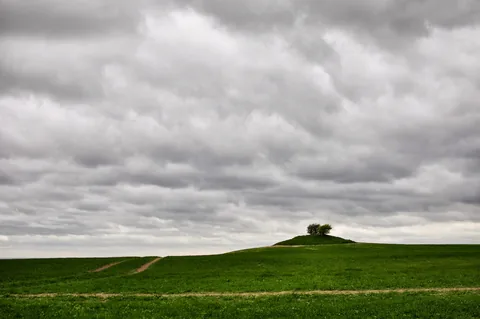 The Ridgeway — photograph 183
