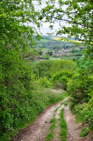The track down to our lodgings for the evening