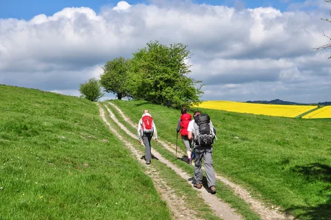 The Ridgeway — photograph 204