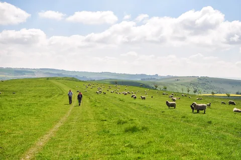 The Ridgeway — photograph 209