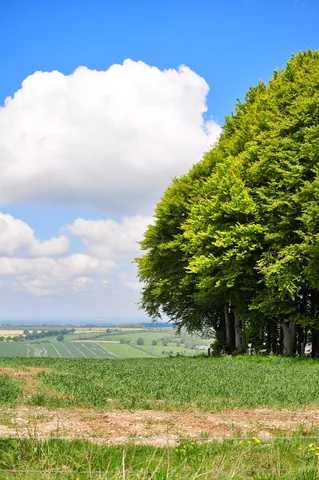 The Ridgeway — photograph 213