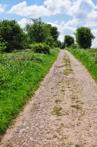 The Ridgeway — photograph 215