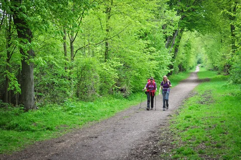Much of the first half of the trail walking south west is in and out of wooded sections