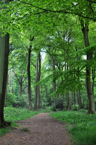 The Ridgeway — photograph 42