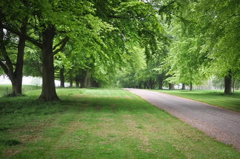 The Chequers estate driveway. It must be an inconvenience to them to have the National Trail pass right through the front of the estate