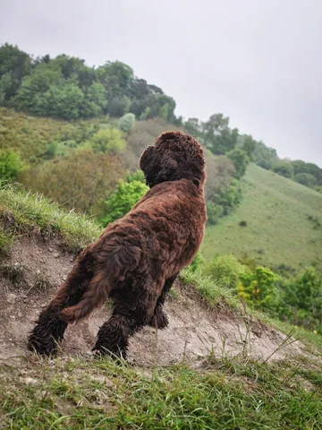 The Ridgeway — photograph 48