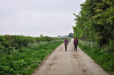 The Ridgeway — photograph 62