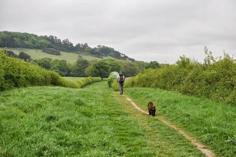The Ridgeway — photograph 71