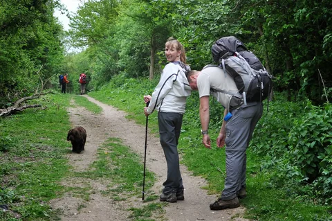 One tired hiker part way in on day 2. Nice headrest!
