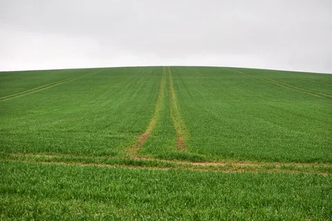 In addition to the blues and yellows, the greens were looking pretty bold as well