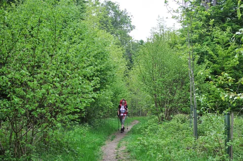 The Ridgeway — photograph 79
