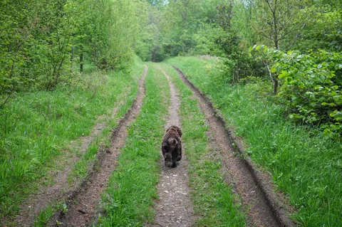 Barney's biggest adventure to date