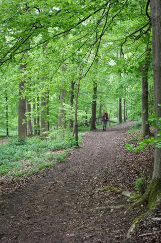 The Ridgeway — photograph 84