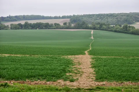 The Ridgeway — photograph 88